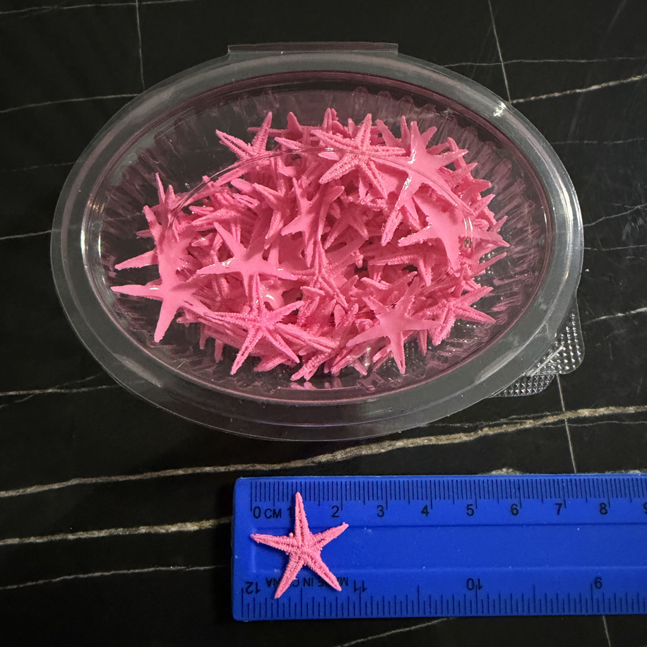 Deniz yıldızı pembe